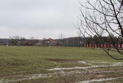 Teren Construcții intravilan de 1127 mp, în Snagov - 4