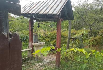Casă cu 5 camere cu Teren 3200 Mp în Stângăceaua - 7