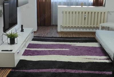 Garsonieră decomandată în Far - 8