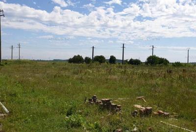 Teren aproape de Bucuresti langa padure - 13