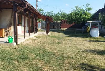 Casa Uileacu de munte - 6