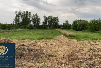 Casă + teren uriaș Casă + teren uriaș - 5