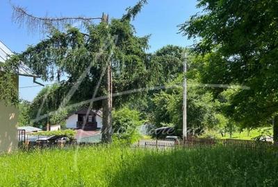 Teren intravilan cu casa- 1740 mp. in Provita de Sus-PH - 21