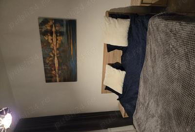 Apartament cu 2 camere decomandat în Metalurgiei