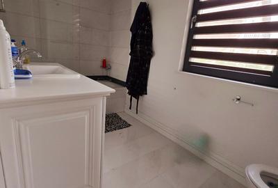 Vanzare proprietate - casa si terenValea Voievozilor Dambovita - 26