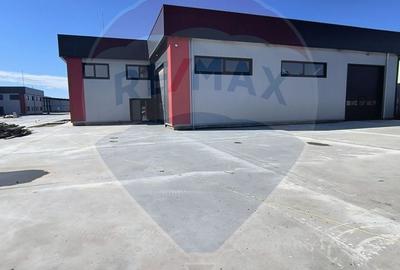 Hale noi de inchiriat Domnesti - putere instalata pana la 600kva - 25