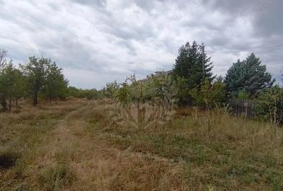 TEREN PAULESTI//17211 MP// INTRAVILAN - 1