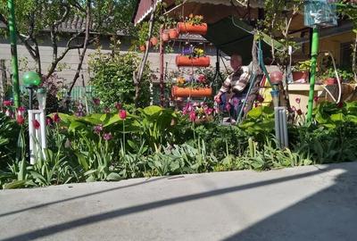 Casă cu 5 camere în Cerna - 3