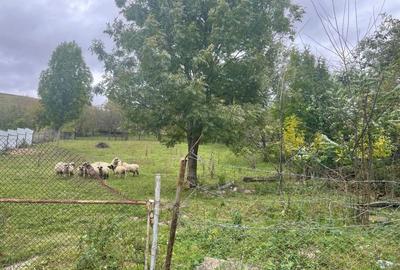 Spațiu comercial, în Mărtinești - 2