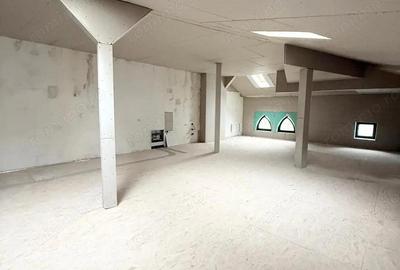 Vila individuala Icoanei Dacia - 1