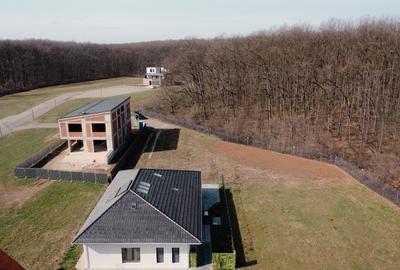 Teren de vanzare Dumbrava Vlasiei- Situat la marginea padurii mature Teren de vanzare Dumbrava Vlasiei- Situat la marginea padurii mature - 4