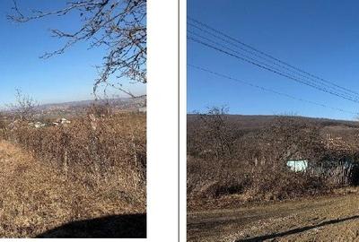 Casă cu 2 camere în Patricheni - 7