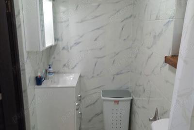 Vind 2 case Carei Satu-Mare,singur in curte - 8