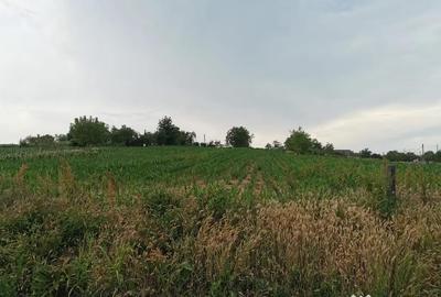 Teren de 2800 mp, în Șopârlița - 5