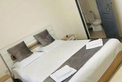 Casă cu 13 camere cu Teren 2400 Mp în Brebu - 5