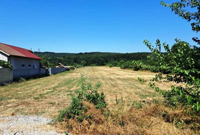 TEREN INTRAVILAN ȘI EXTRAVILAN TURCINEȘTI - 3