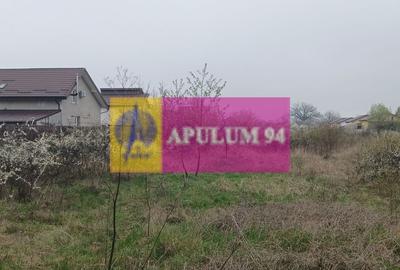 Săbăreni, teren intravilan 6078 mp, cu utilităti - 3