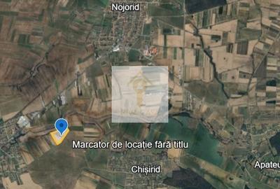 Teren agricol extravilan de 69150 mp, în Nojorid - 3