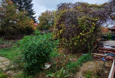 Casa locuibila cu 3 camere, 1700 mp teren deschidere 30 m, DOMNESTI - 2