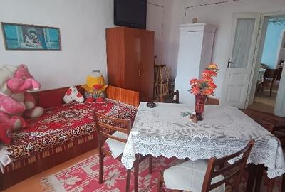 Vand casa Satchinez