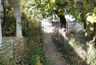 Casă cu Teren 1925 Mp în Gara Berheci - 7