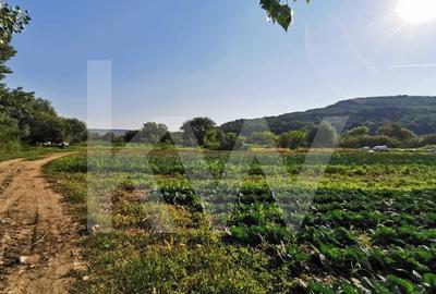 Teren extravilan arabil, 7500mp, Mohu-Bungard Teren extravilan arabil, 7500mp, Mohu-Bungard - 2