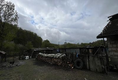 Casă cu 2 camere în Licurici - 5
