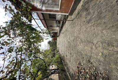 Casă cu 5 camere în Picleu - 4