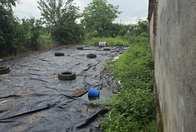 Teren de 3400 mp, în Copăceanca - 2