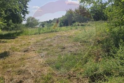 Teren  intravilan  de vanzare Oras  Saliste  Strada Livezii Jud. Sibiu - 26