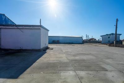 Spațiu industrial, de 650 mp, în Săcălaz - 8
