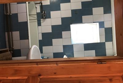 Casa de vanzare, Ineu - 7