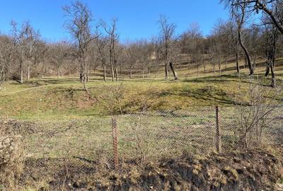 Teren de 3600 mp, în Exterior Vest - 3