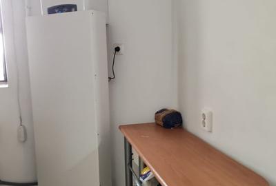 Garsoniera Doamna Ghica - 6