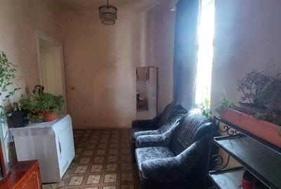 Gelu – Casa 4 Camere – Teren 6700 mp Gelu – Casa 4 Camere – Teren 6700 mp - 5