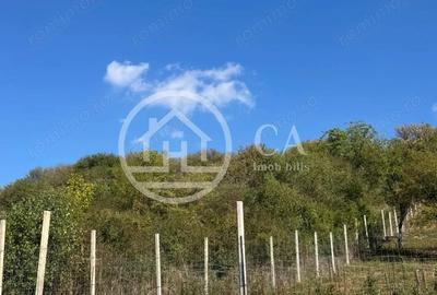 Teren de vanzare in zona de Dealuri, Oradea Teren de vanzare in zona de Dealuri, Oradea - 3