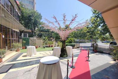 PALLADY - Titan | Restaurant Casa Luminita - Preluare Afa... - 8