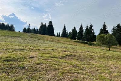 Casă cu Teren 7000 Mp în Central - 2