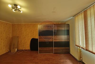 Casă individuală cu 3 camere cu Teren 2175 Mp în Mailat - 26