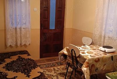 Casa cu teren de vanzare in comuna Botesti, judetul Arges - 6