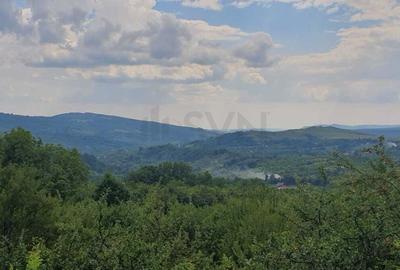 REL4001190 Teren de vanzare in Ogretin I Valenii de Munte I Prahova - 3
