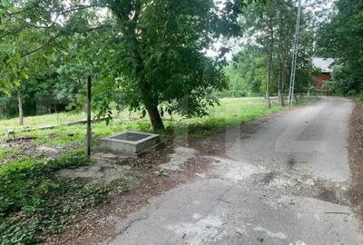 Teren în Podari - 2