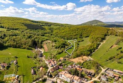 Teren agricol extravilan de 11306 mp, în Malnaș-Băi - 17