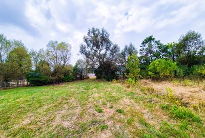 Teren 1,4 hectare Draganu Arges - 3