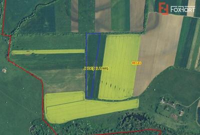 Teren agricol extravilan de 23700 mp, în Sud