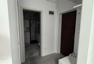 Apartament cu 2 camere decomandat în Turnișor - 4