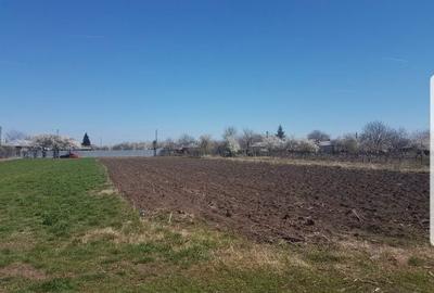 Spațiu comercial, în Plopșoru - 7