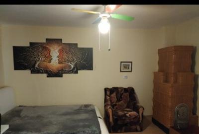 Casa batraneasca Cotesti - 5