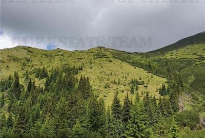 SUPER OPORTUNITATE, DE VANZARE O PROPRIETATE SPECIALA, MUNTE - 13