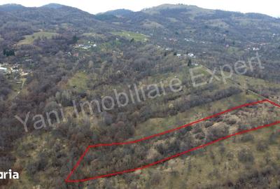 Teren de 14328 mp, în Nucșoara - 4